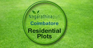 Hot Project - Captain Real Developers