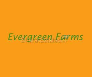 Evergreen Farms