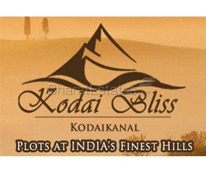 Kodai Bliss