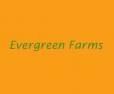 Evergreen Farms Sulur Coimbatore