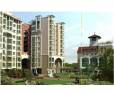 Purva Bluemont: Image 2