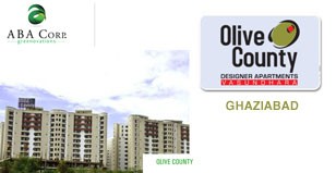Hot Project - Olive County