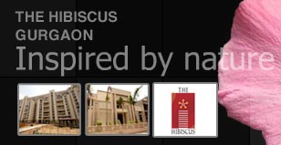 Hot Project - The Hibiscus