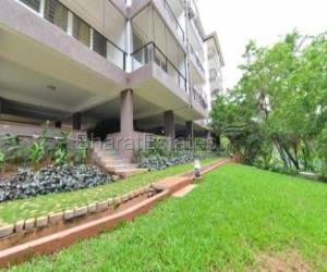 Fully Furninshed 1BHK apartments at Chapora, North Goa