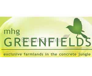 Greenfield