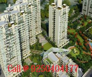Satya Group Launch 3 BHK+S Luxurious Apartments Sector 99A Gurgaon Call @ 9250404177