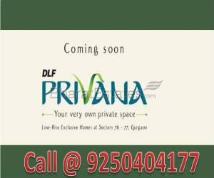 DLF Launching Soon Floors 