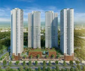 Festival offer 50% off on booking amount 