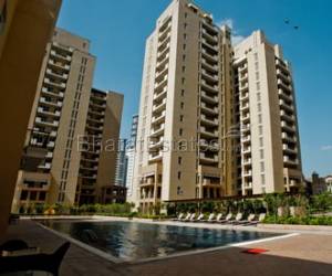 3 bhk Apartment/Flat for rent in Dlf City Phase V