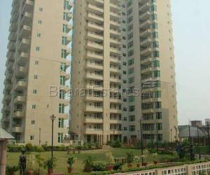 3 bhk Apartment/Flat for rent in Sector 54