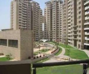 3 bhk Apartment/Flat for rent in Sector 49