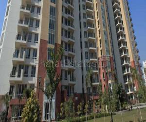 1 bhk Apartment/Flat for rent in Golf Course Road