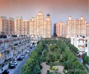 3 bhk Apartment/Flat for rent in Dlf City Phase V