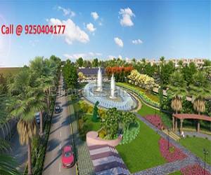 Central Park 3 Floors | Flower Valley Flamingo Floors