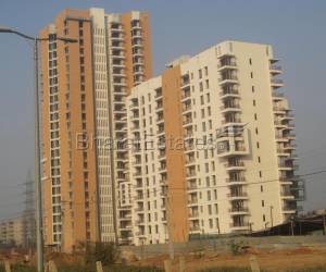 3 bhk Apartment/Flat for rent in Golf course Extension Road