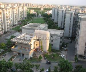3 bhk Apartment/Flat for rent in Sector 56 Gurgaon