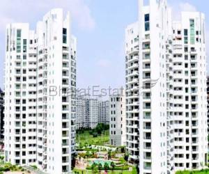 3 bhk Apartment/Flat for rent in Sector 53