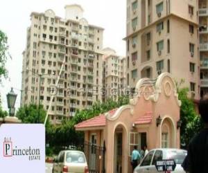 2 bhk Apartment/Flat for rent in Dlf City Phase V