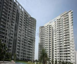 4 bhk Apartment/Flat for rent in Sector 43