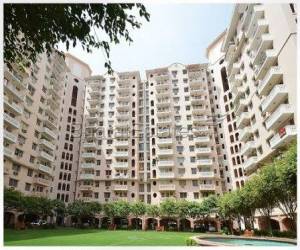 3 bhk Apartment/Flat for rent in Sector 53