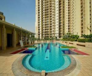 4 bhk Apartment/Flat for rent in Sector 54