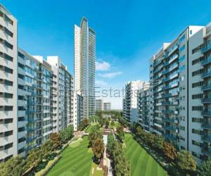 3 BHK apartment available In Ireo Skyon