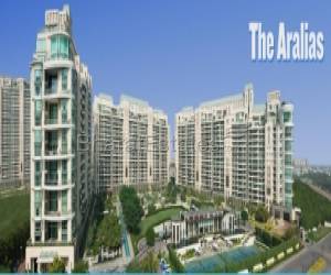 DLF The Aralias - 4 BHK Flats for Rent in Gurgaon