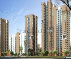3 BHK flats for rent on Golf Course Extension Road
