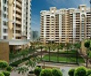 3 bhk Apartment/Flat for rent in Sector 53