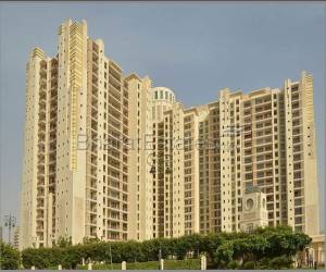 4 bhk Apartment/Flat for rent in Sector 54