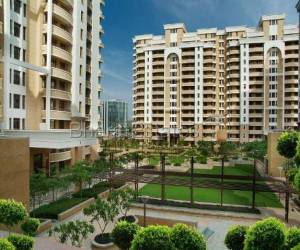 3 BHK for rent in Vipul Belmonte