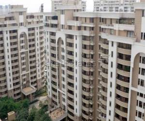  3 BHK  Flat for rent in Vipul Belmonte