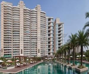 3 BHK Furnished flat available for lease in DLF Carlton Estate