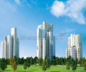 2 BHK Flat available for lease in Ireo Uptown.