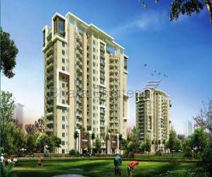 3 BHK Apartments in Emaar Palm Gardens