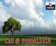 Supertech Plots 172 Sq.Yds  Sohna Gurgaon Call @ 9999415318