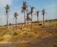 Plot/Land for sale in Gurgaon Extension at Sohna