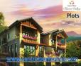 Residential Plots | Central Park Flower Valley South of Gurgaon