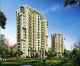 3 BHK Apartments in Emaar Palm Gardens