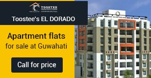 Hot Project - Toostee El- Dorado