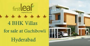 Hot Project - First Leaf