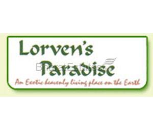 Lorvens Paradise