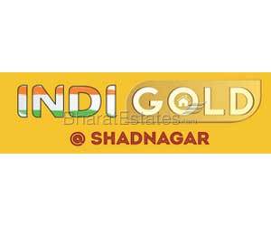 Indi Gold