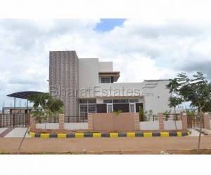 Fortune Butterfly City