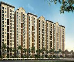Residential in nebula aavas  , 1214.0 Sq. Feet Janapriya Nagar Hyderabad 40.0 Lakh