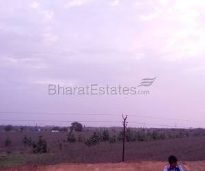 Residential in Peram grup  Muthangi Hyderabad 2.0 Lakh