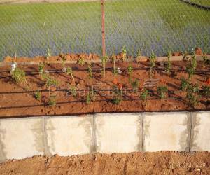 Residential in shiva sai enclave  , 7450.0 Sq. Feet Jubliee Hills Hyderabad 5.0 Crore