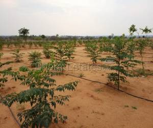 Residential in Green Acers, Jadcherla  Nagarjuna Sagar Road Hyderabad 10.0 Lakh