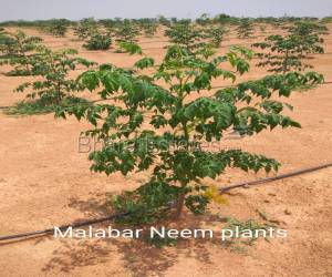 Residential in Adityawhitefield  Gandi Maisamma Hyderabad 28.0 Lakh