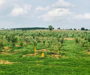 Residential in sivom projects  Hyderabad Hyderabad 18.0 Lakh